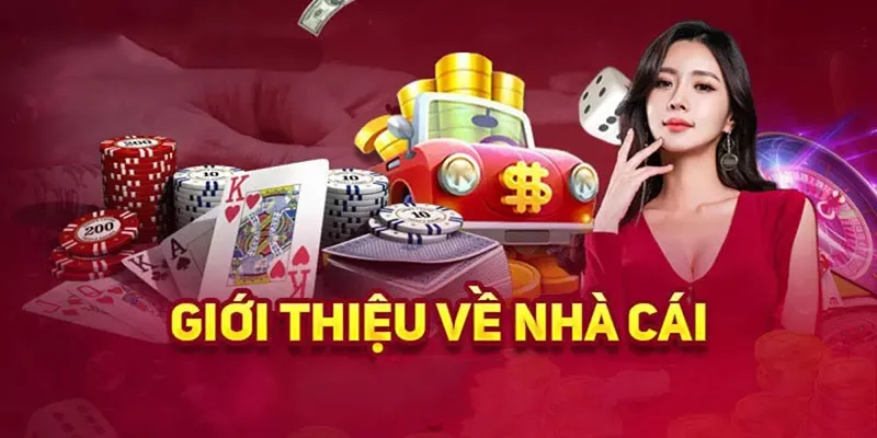 Bí quyết chơi hiệu quả tại nhà cái 77Win